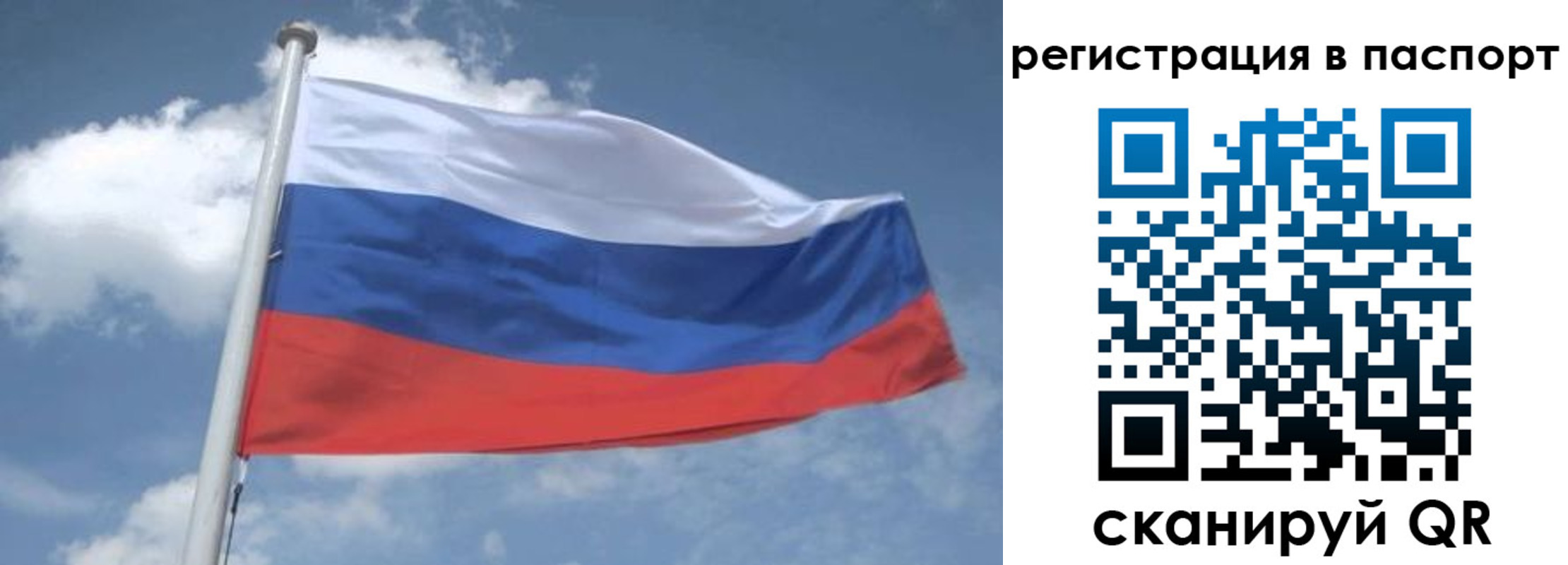 временная регистрация надежно в Котово